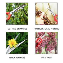 Durable stainless steel pruning scissors, with a non-slip grip for easy gardening.